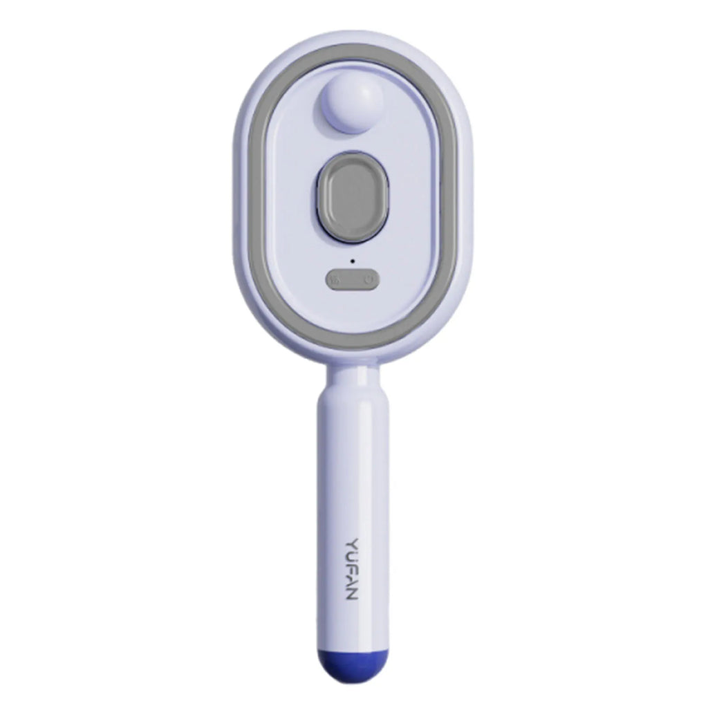 Electric Steam Brush with Water Spray Wet Electrics Hairbrush USB-C Charging for Detangling Smoothing Styling & Frizz Control